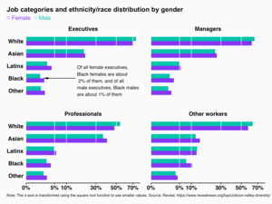 Side-by-side bar charts of job categories and ethnicity/race distribution by gender